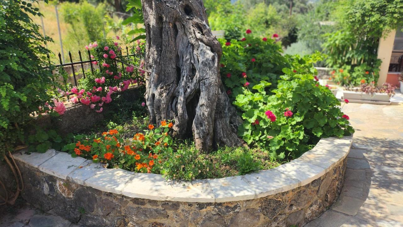 Kato Korakiana Aristea Studios מראה חיצוני תמונה