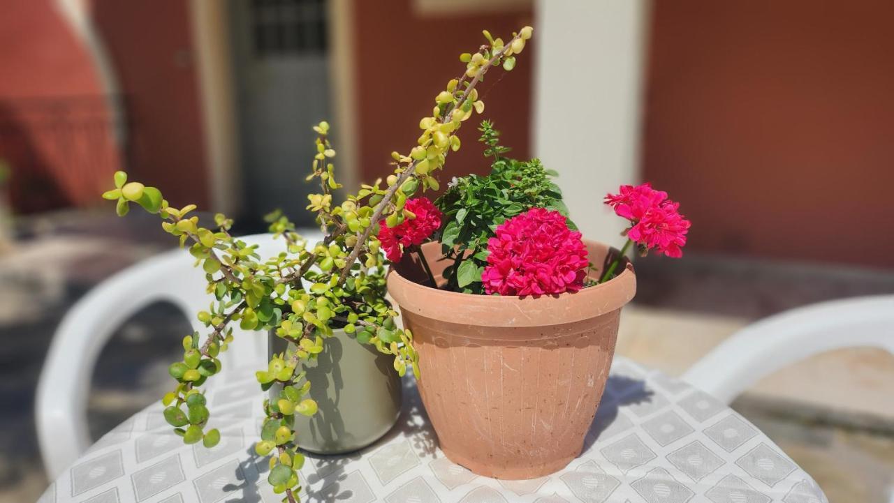 Kato Korakiana Aristea Studios מראה חיצוני תמונה